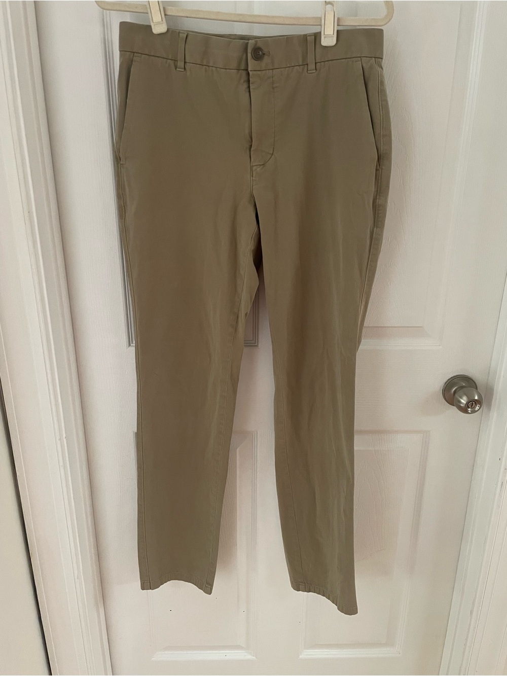 Everlane Olive-Tan Chino Pants